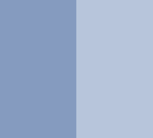 Double color conta