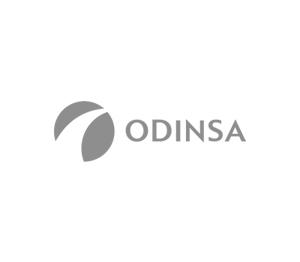 Odinsa