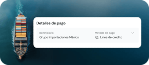 Detalles de pago
