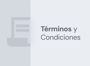 Términos y Condiciones