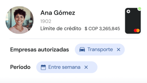 perfil de ana santos